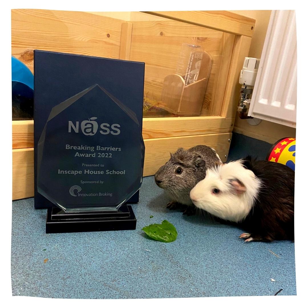 Our beloved guinea pigs posing with the NASS award