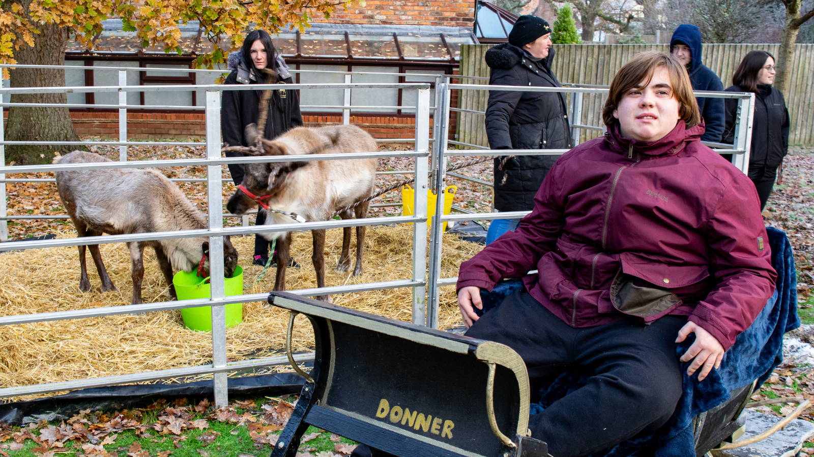 Teenage boy sitting down in black wooden sleigh with "donner" written on front in golden letters. Behind him there is an enclosure with 2 reindeers and 2 handlers. 