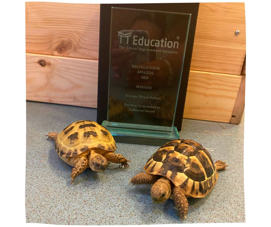 Two of the tortoises posing in front of the award.