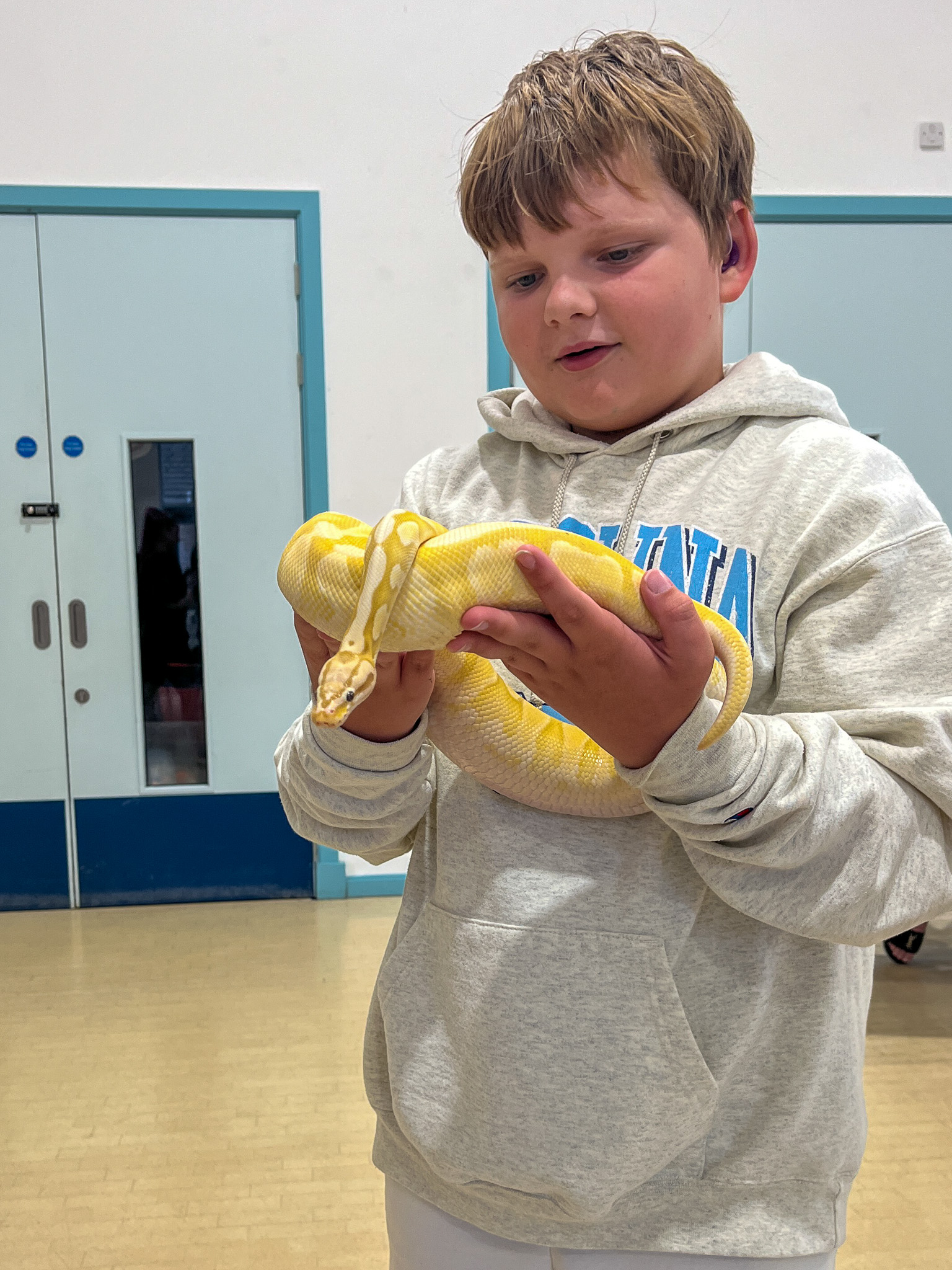 A boy holding a yellow snake curled up in his hands.