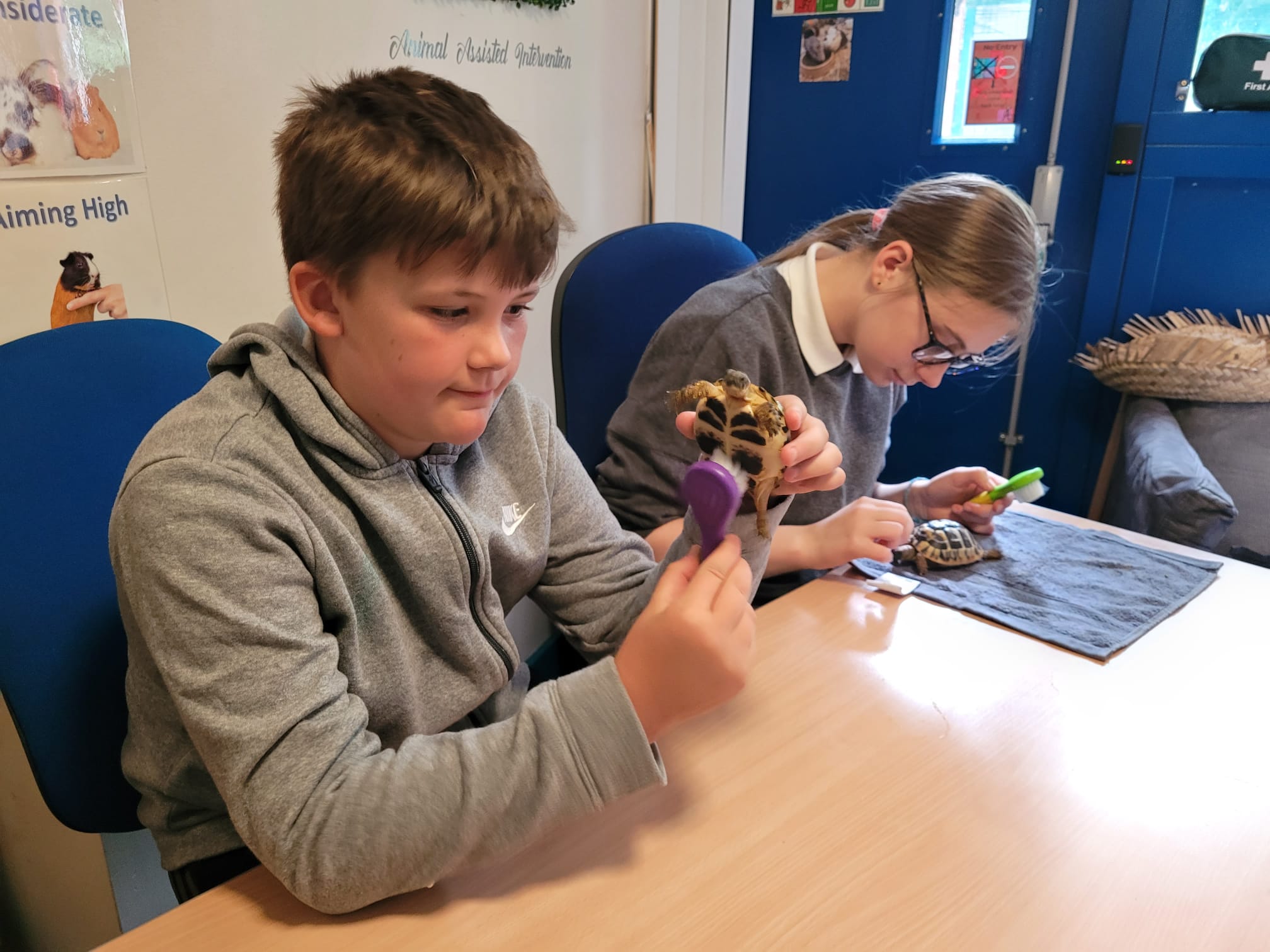 Two children sitting at a table, each brushing the shell of a tortoise with a soft brush. 