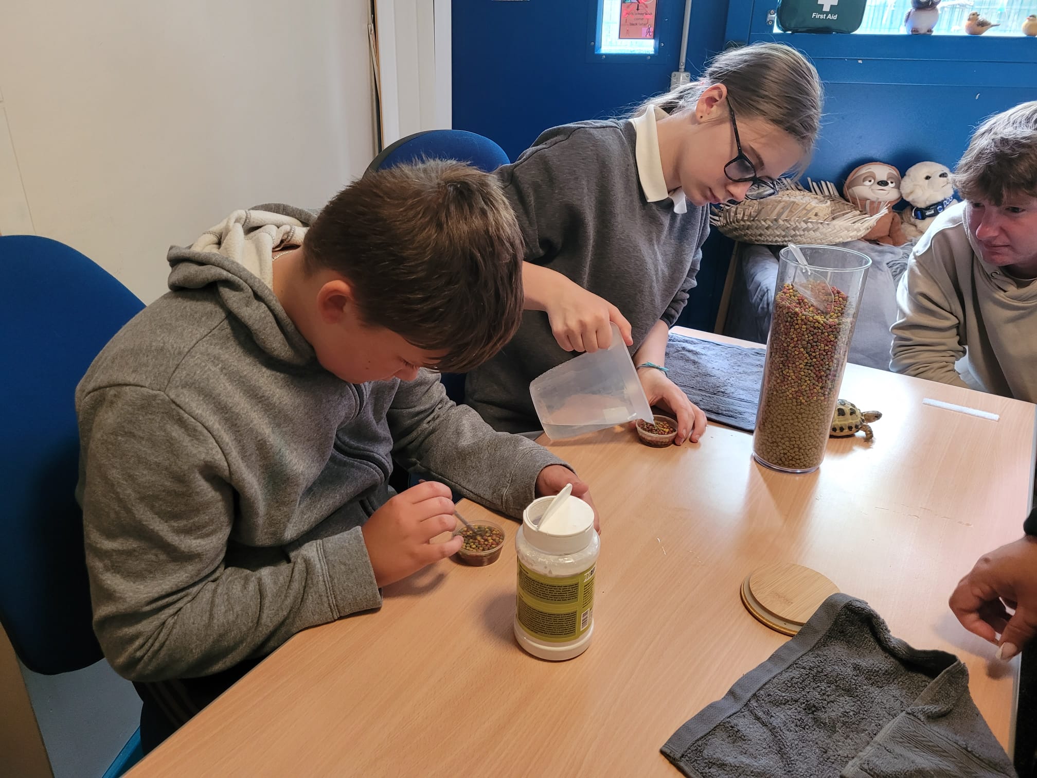 Two students preparing food for tortoises at a desk. One is adding calcium powder to a small dish, the other is adding water to a bowl of food. 