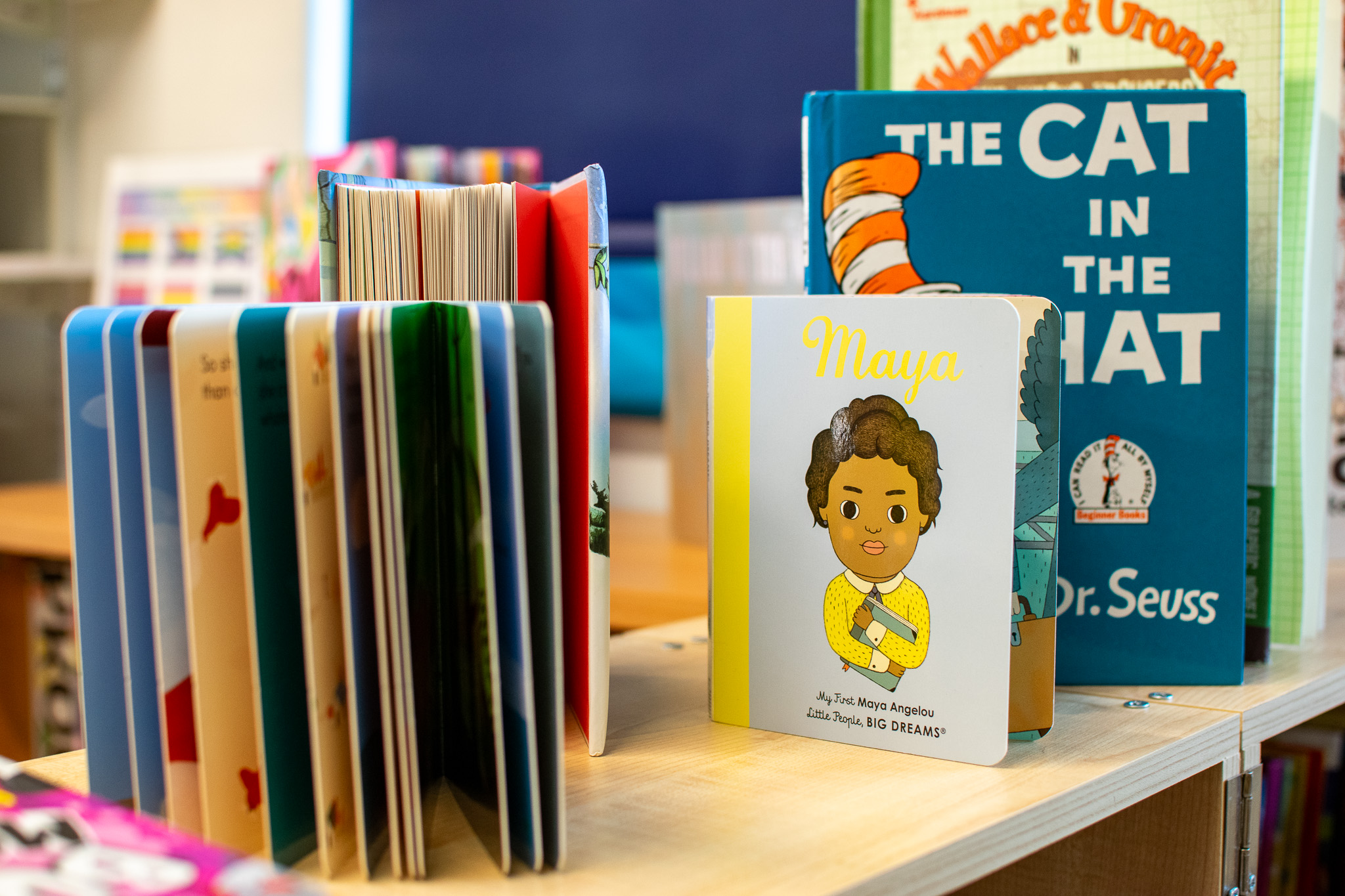 An up-close look at some books on a shelf. Two visible titles are a children's book about Maya Angelou and Cat in the Hat. 