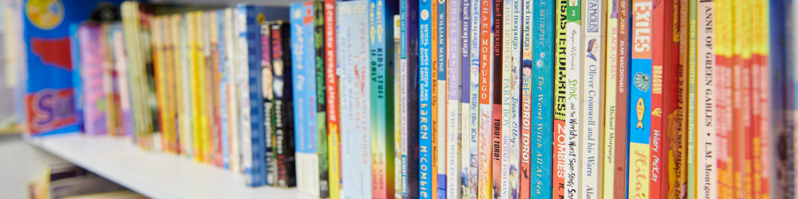 A long line of books on a shelf in the school library