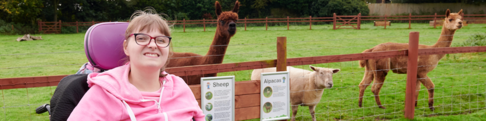 Woman in wheelchair smiling at the camera in front of a field with 2 alpacas and a sheep in the background.
