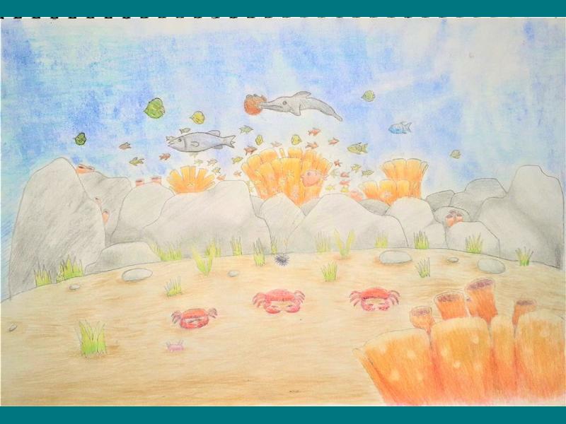 Jamie Coral Reef
