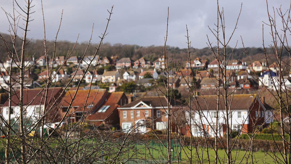 Zoomed out photo with rows of terraced houses and hills behind them, with branches in the forefront.