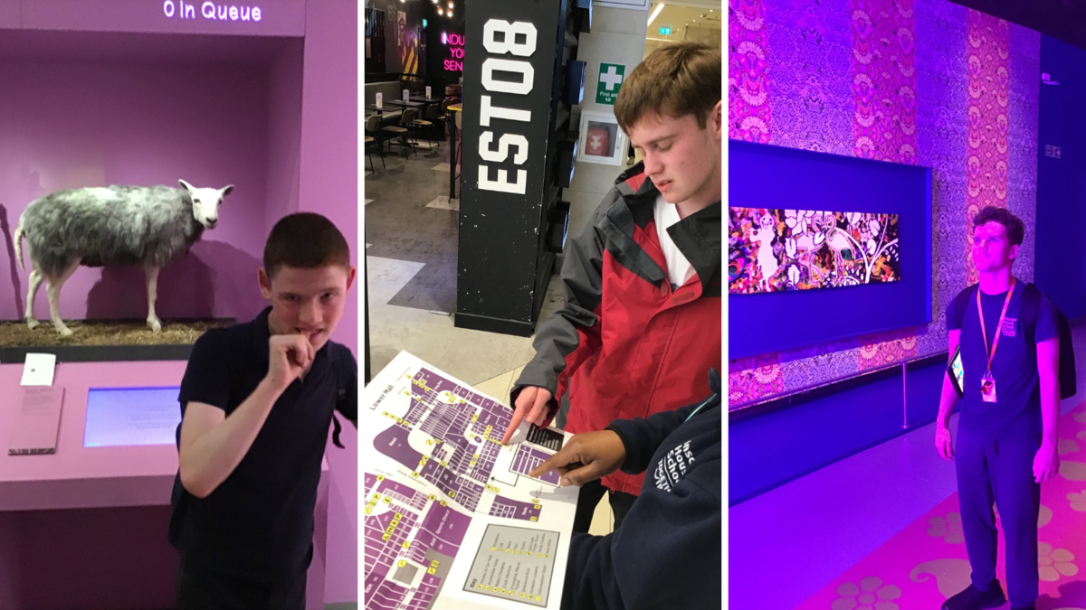 A collage of 3 images: first a boy stands in front of a taxidermy of a sheep, in the second photo a boy navigates a map in a shopping mall, in the third photo a boy stands in a room lit by neon lights. 