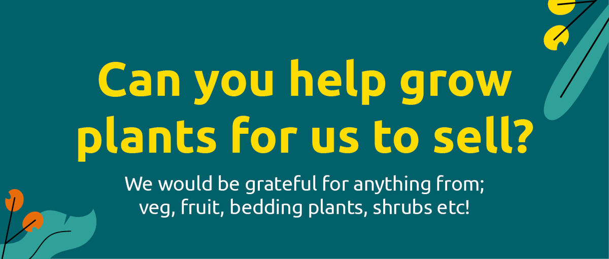 Can you help grow plants for us to sell?