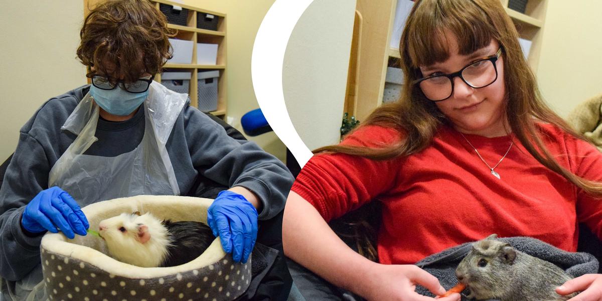 Students holding guinea pigs. Students holding guinea pigs.