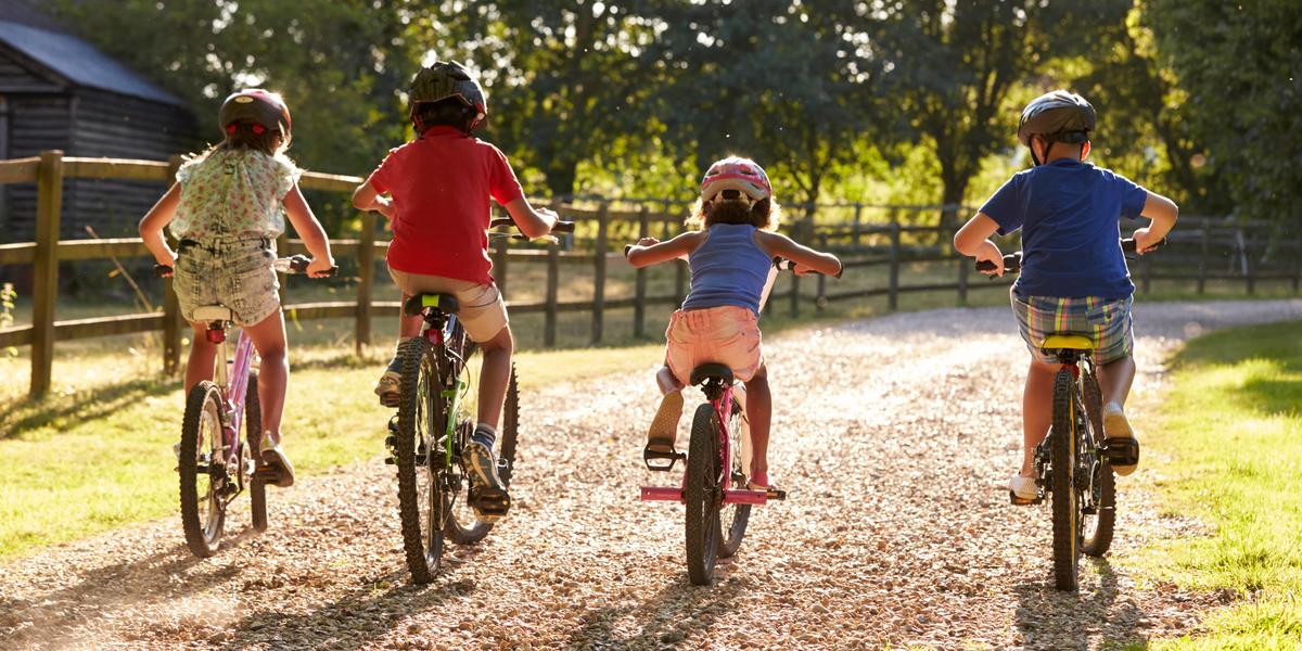 Children riding bikes in the forest