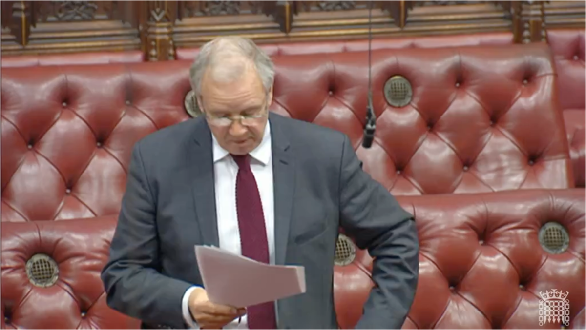 Screenshot of Lord Watson speaking at the Lord's Children's Social Care debate.