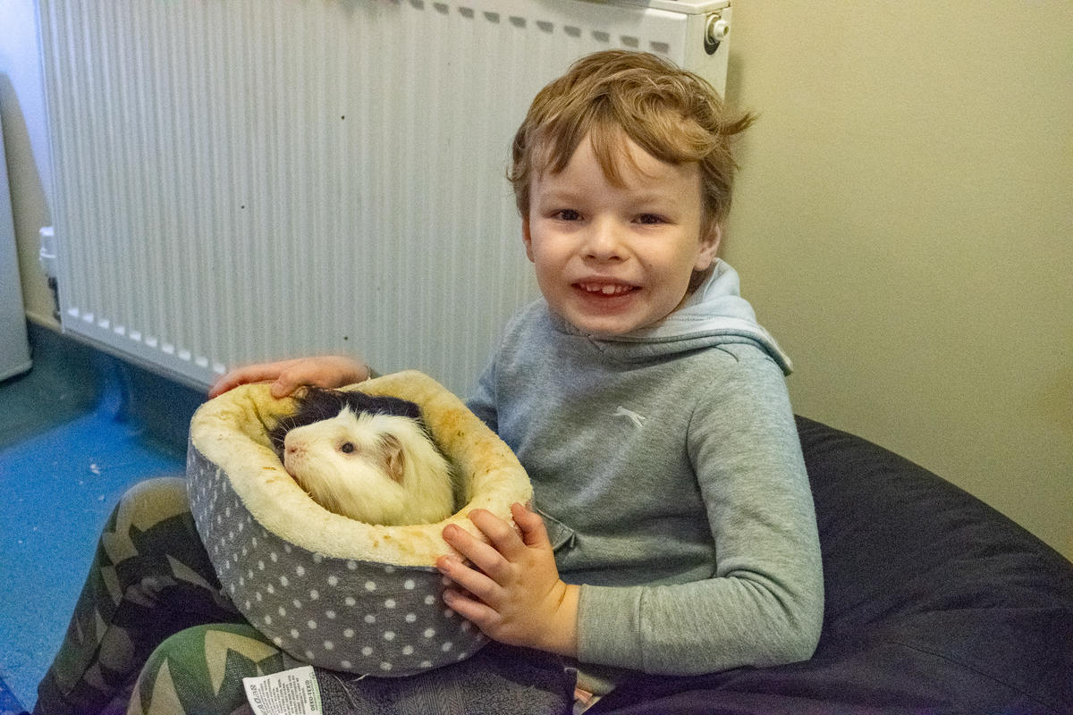 young boy holding a small dog bed with a guinea pig inside 
