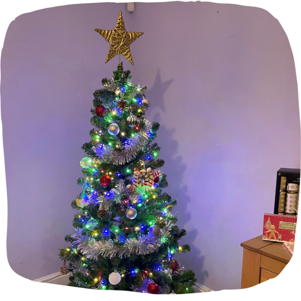 Christmas tree with multi coloured lights and a yellow shiny star on top.  