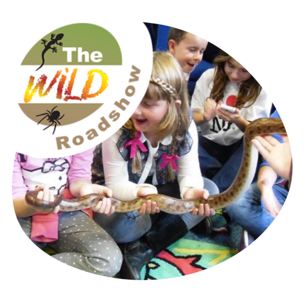 The wild roadshow