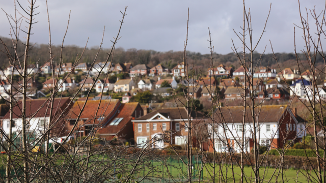 Zoomed out photo with rows of terraced houses and hills behind them, with branches in the forefront.