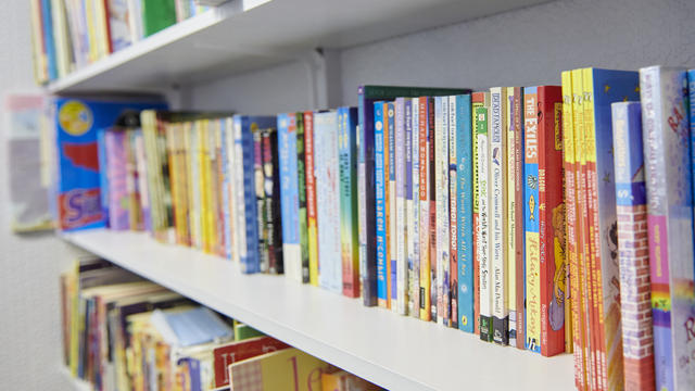 a selection of books on a bookshelf