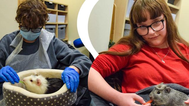 Students holding guinea pigs.