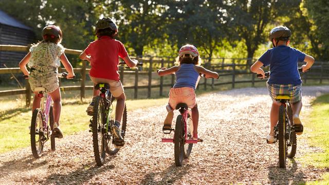 Children riding bikes in the forest