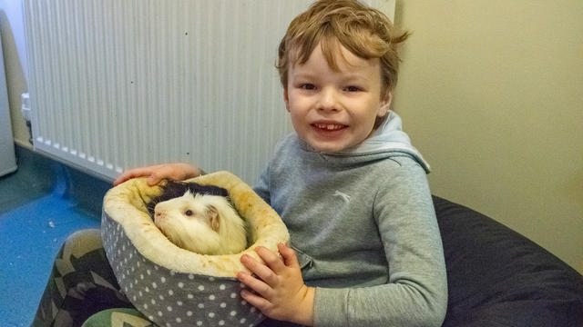 young boy holding a small dog bed with a guinea pig inside 