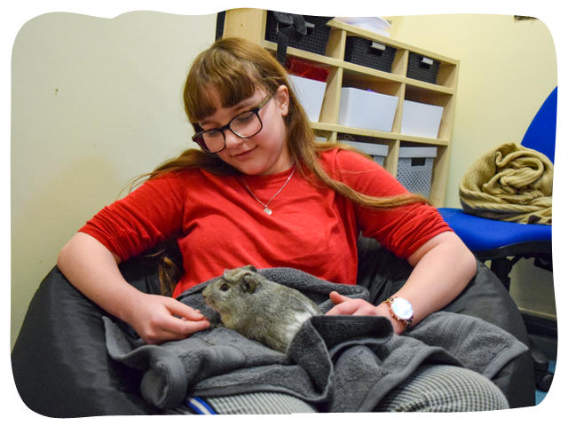 A student from Inscape holding a therapy guinea pig